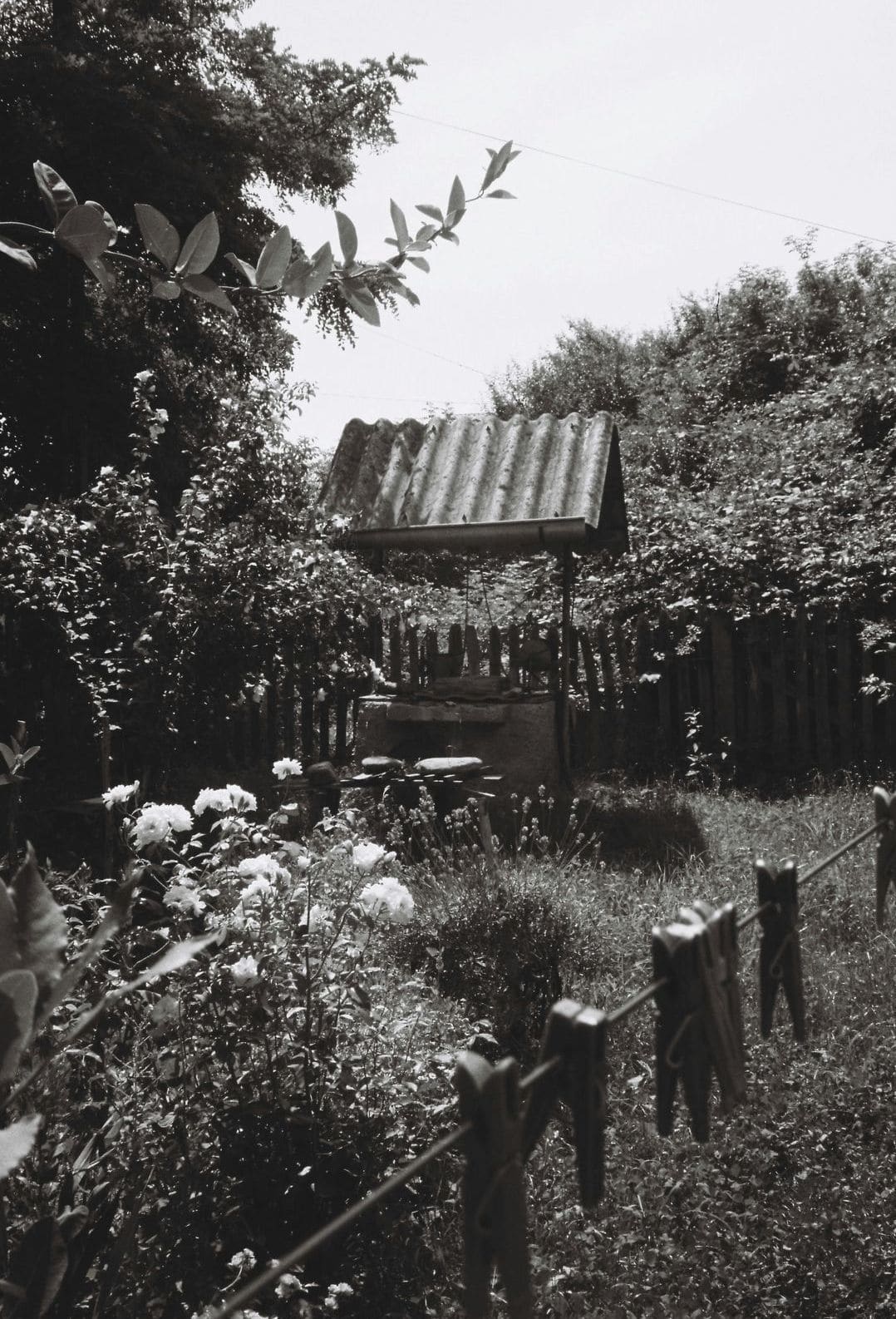 翠庭園 7